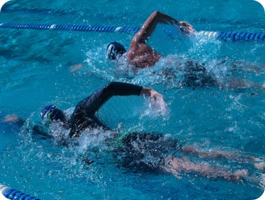 Dakshik Kalikata Sansad(DKS)